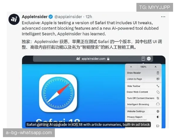 2024年实测：WhatsApp的优化到底怎么样？